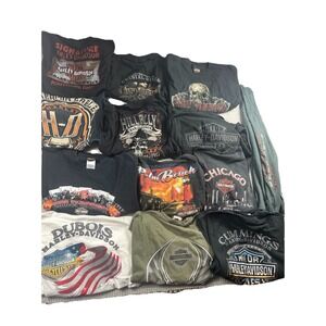 Harley Davidson Biker Motorcycle Shirts Lot Of 13 Graphic Tees Men's L/XL